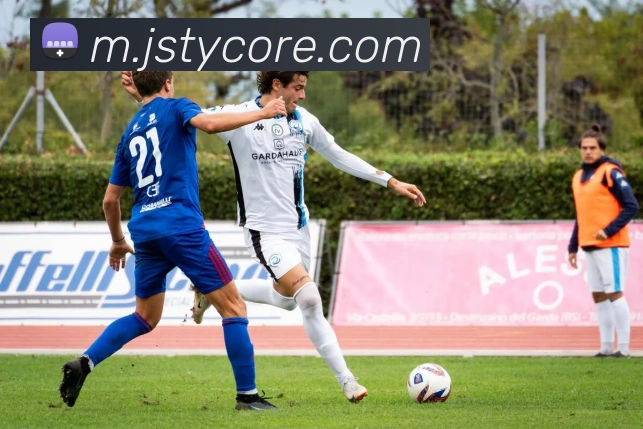 金沙体育平台生态图